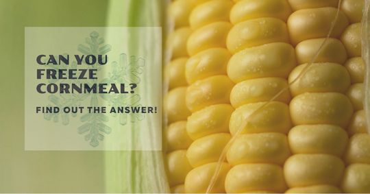 can you freeze cornmeal
