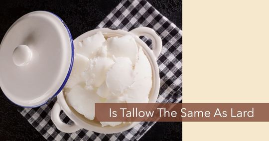 is tallow the same as lard